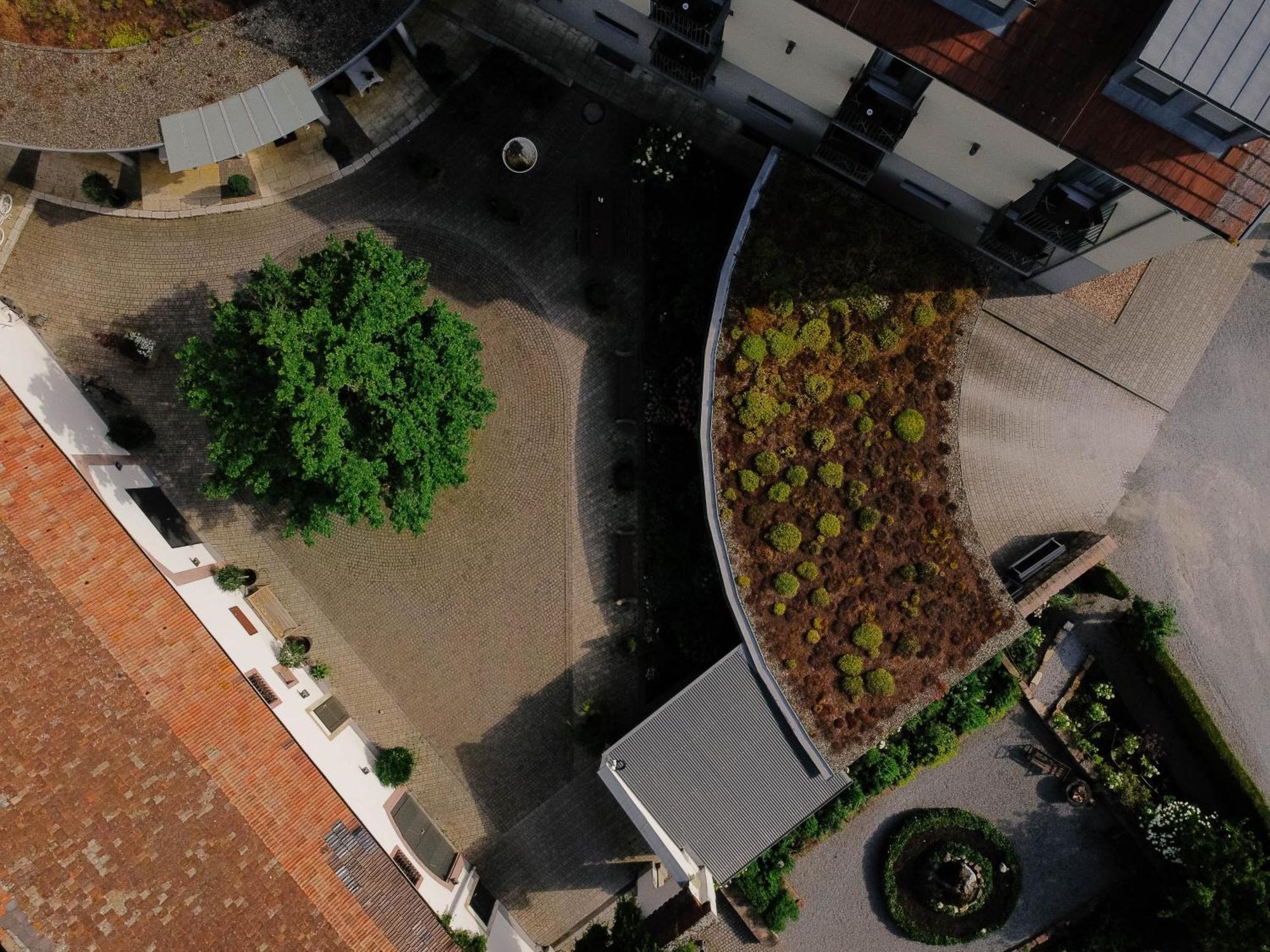 Zeiskamer Muehle ภายนอก รูปภาพ