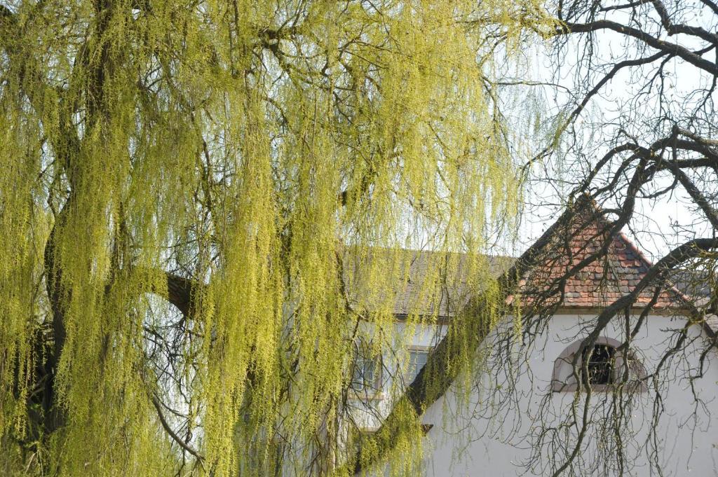 Zeiskamer Muehle ภายนอก รูปภาพ